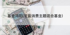 基金鸿阳(宝盈消费主题混合基金)